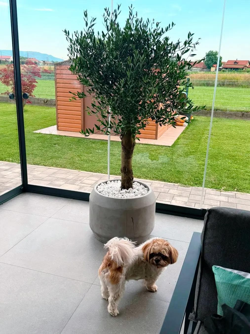 Galerija slika 13